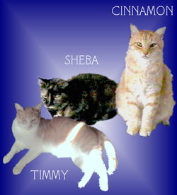 Cinnamon, Sheba, Timmy, and Sharon