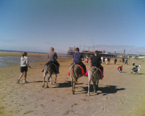 Donkey Ride On The Beach