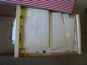 Storage Box For Pressed Flowers