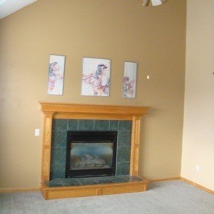 Living Room Paint Color Advice