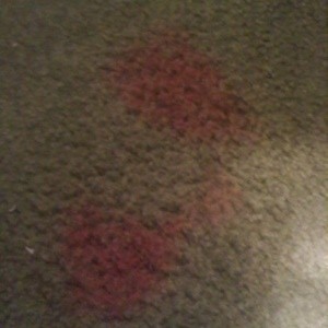 Removing Red Stain from Carpet