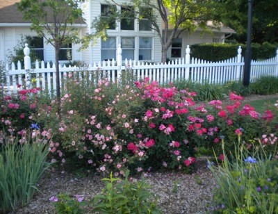 Scenery: Burgh Historical Park (Southfield, MI)