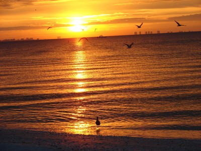 Scenery: Sunset (Sanibel Island, FL)