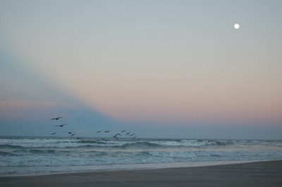 Scenery: Moonrise Over the Atlantic Ocean