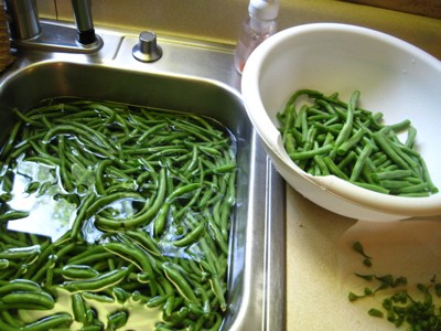 Garden: Green Beans