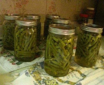 Garden: Green Beans