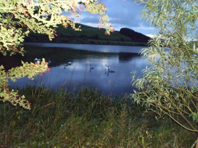 Scenery: Loch Lindores (Fife, Scotland)