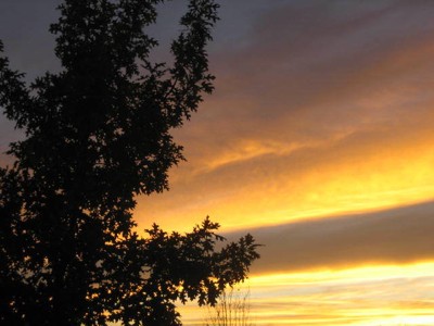 Scenery: Sunset (Grand Prairie, TX)