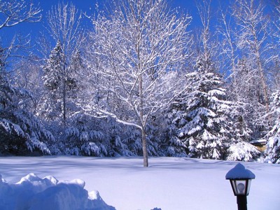 Scenery: Snow (Nova Scotia)