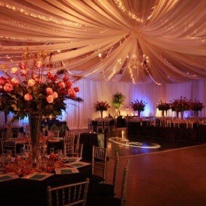 Decorating an Ice Arena Ceiling for a Wedding?