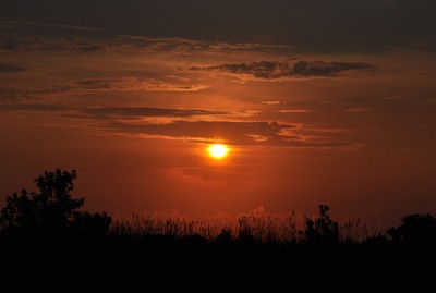 Scenery: Sunset (Tobay Beach, Long Island, NY)