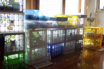 Uses For Milk Crates Thriftyfun