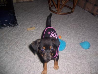 Help me think of a name for my sweet baby