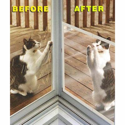 RE: Protecting a Screen Door from Cats