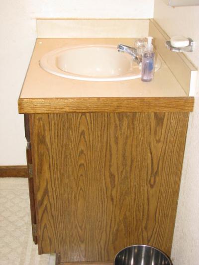 RE: Painting Laminate Countertops