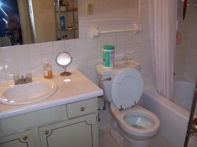 RE: Painting Laminate Countertops