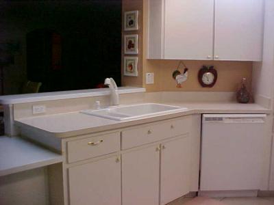 RE: Painting Laminate Countertops