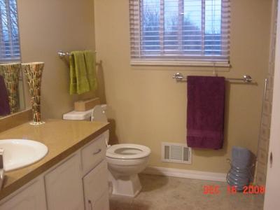 RE: Painting Laminate Countertops