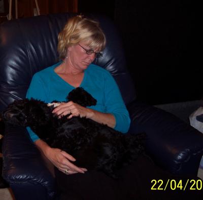 RE: Homemade Dog Food Recipes