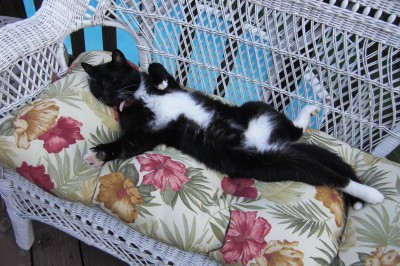 RE: Painting Laminate Countertops