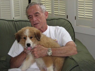 RE: Gordi (Bernese Mountain Dog/Great Pyrenees)