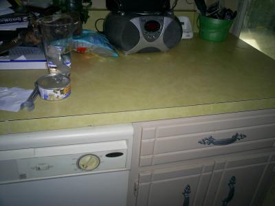 RE: Painting Laminate Countertops