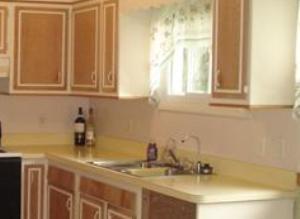 RE: Painting Laminate Countertops