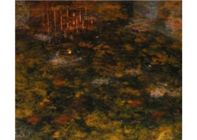 RE: Painting Laminate Countertops