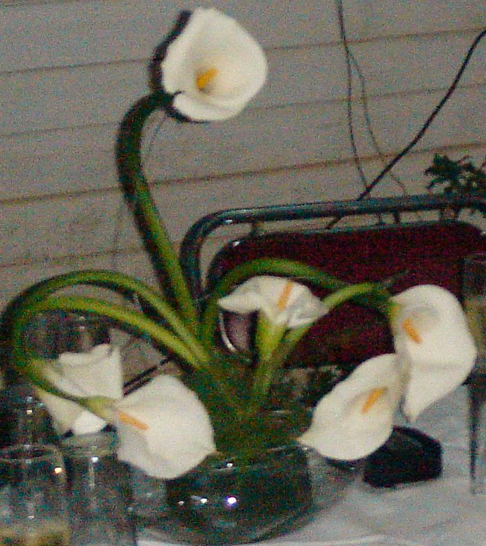 RE: Calla Lily centerpieces