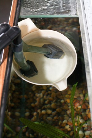 Putting filter tubes in aquarium