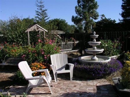 Garden Photos From Lodi, CA