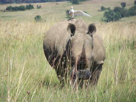 Photo of South Africa