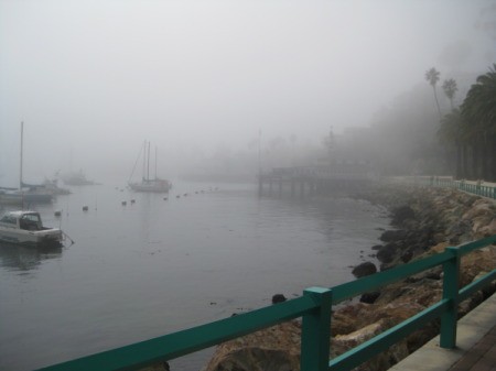 Photo of Fog Rolling