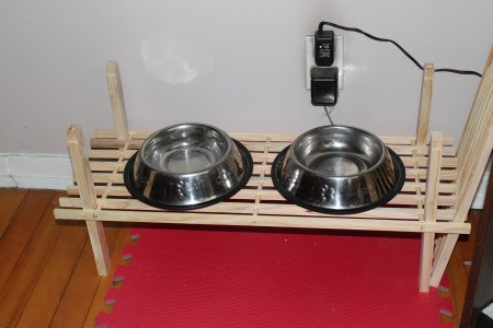 photo of Dog Dishes on a slat shoe shelf