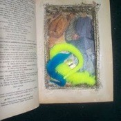 photo of secret book safe