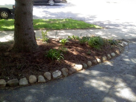 Photo of small flower bed under a tree