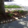 Photo of small flower bed under a tree