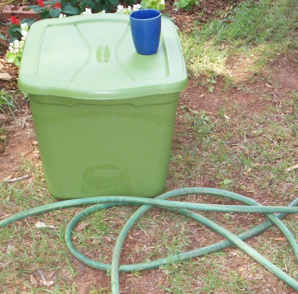 Photo of a green plastic container