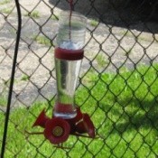 A hummingbird feeder.