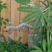 Photo of multi leaf plant against fence
