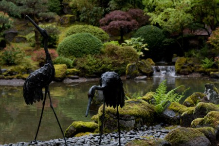 Portland Japanese Garden Cranes