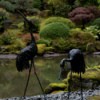 Portland Japanese Garden Cranes