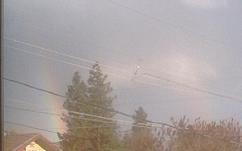 A double rainbow behind some trees.