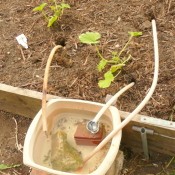 bowl of water with wicks going to garden plants