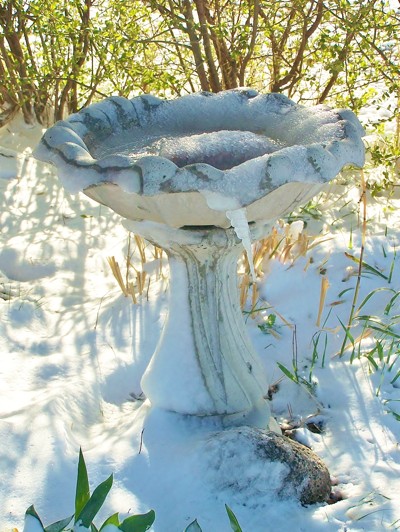 Picture of a concrete bird bath.