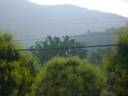 After a spring rain in Hampton, TN, with mist over the trees.