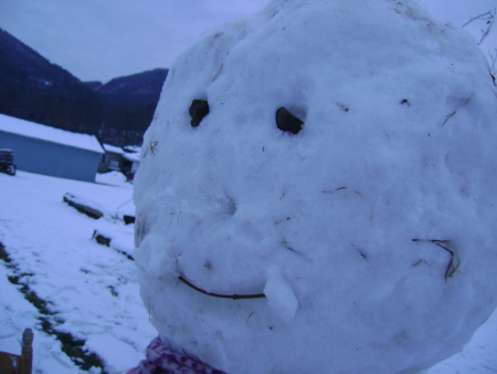 A close up of a snowman's face.