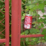 A soda can left for collecting cigarette butts.