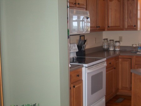 view of kitchen cabinets and adjoining wall