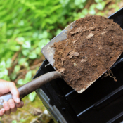 shovel of fertilizer